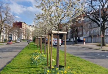 More vegetation in the design of public spaces.