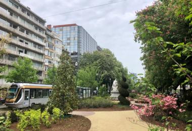 More vegetation in the design of public spaces.